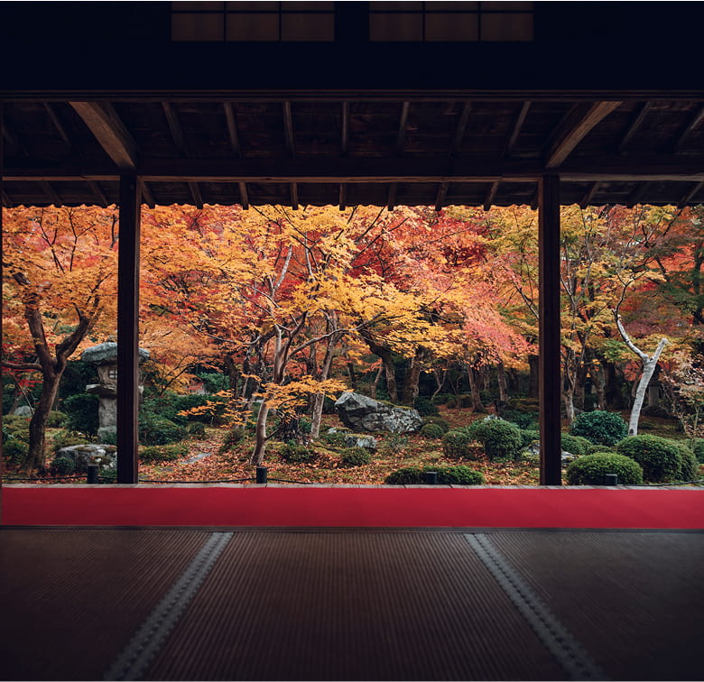 圓光寺