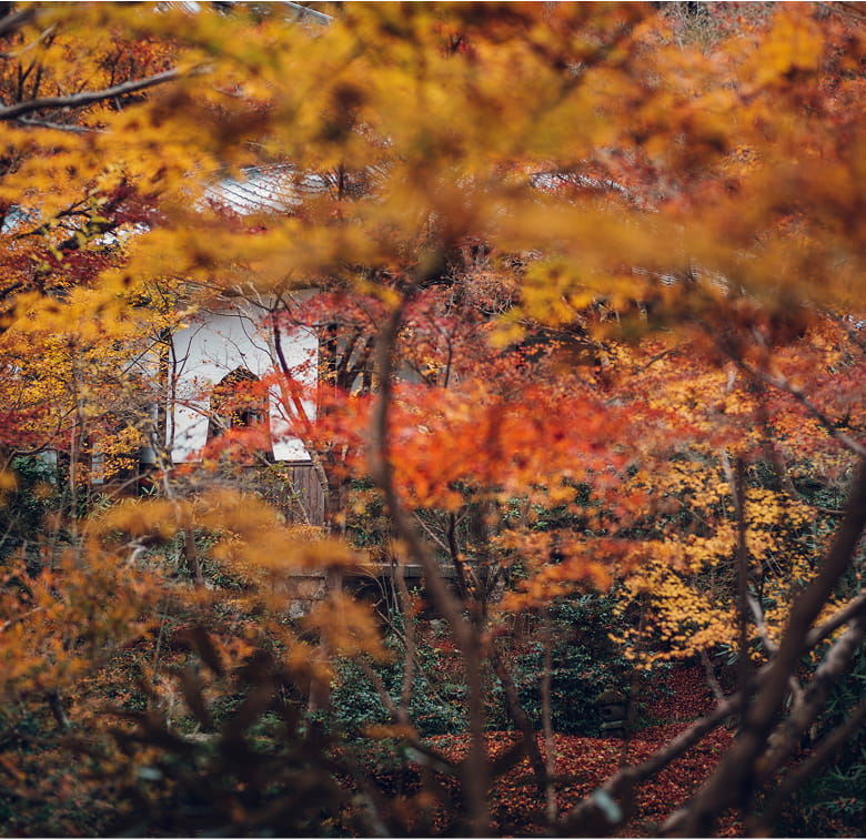 圓光寺