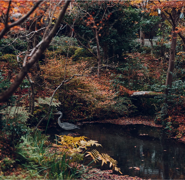 圓光寺
