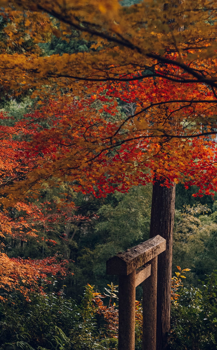 圓光寺