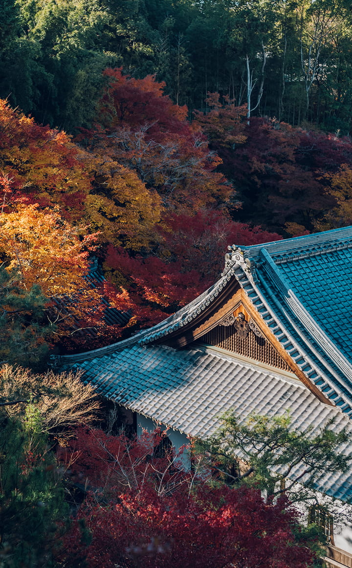 圓光寺