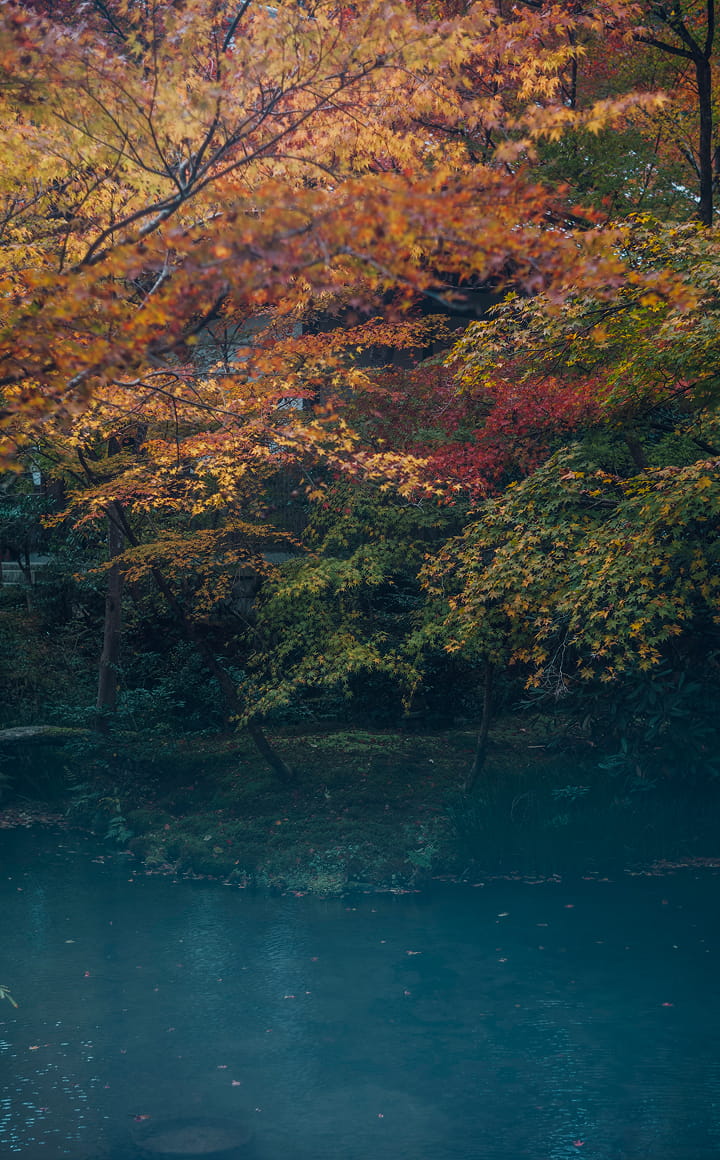 圓光寺