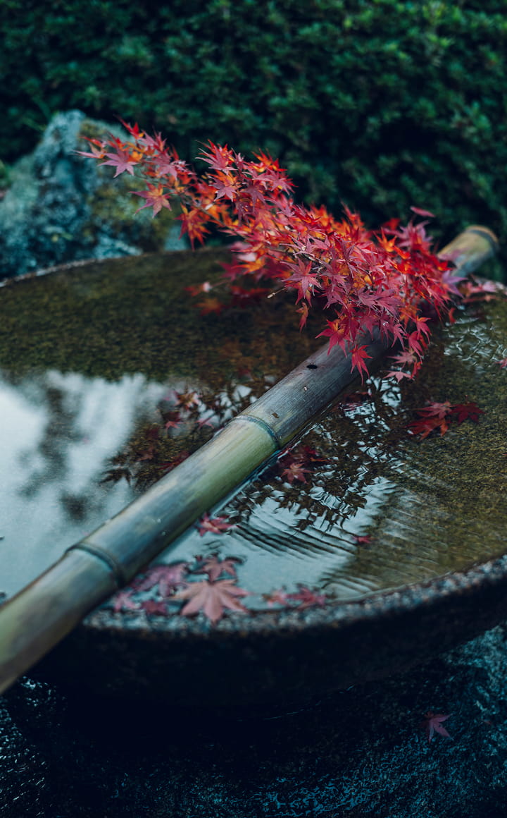 圓光寺