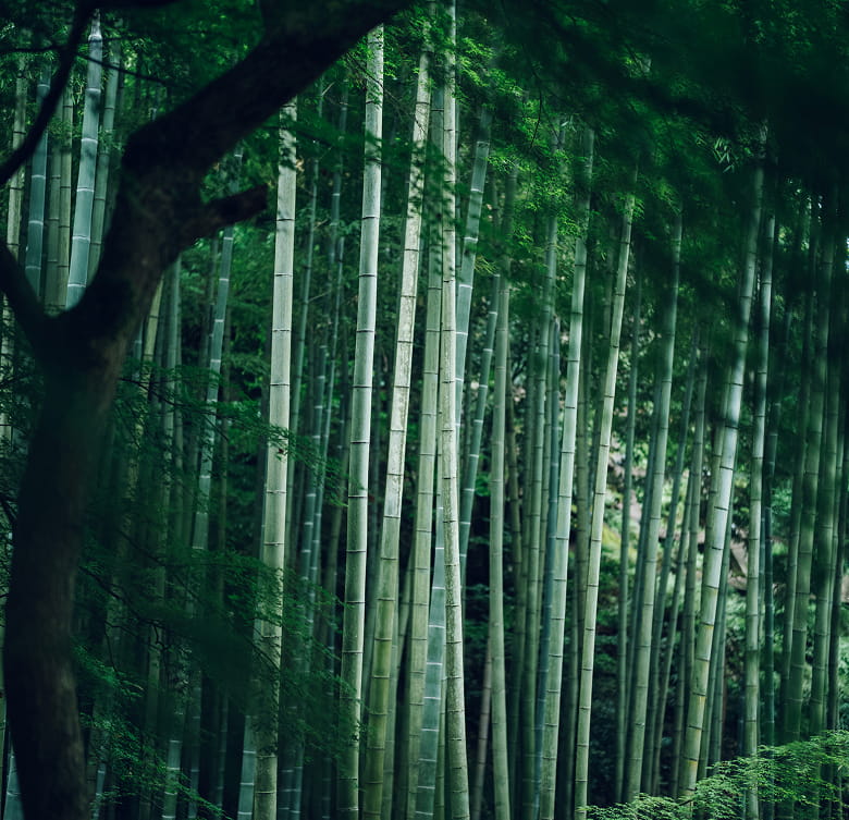 圓光寺