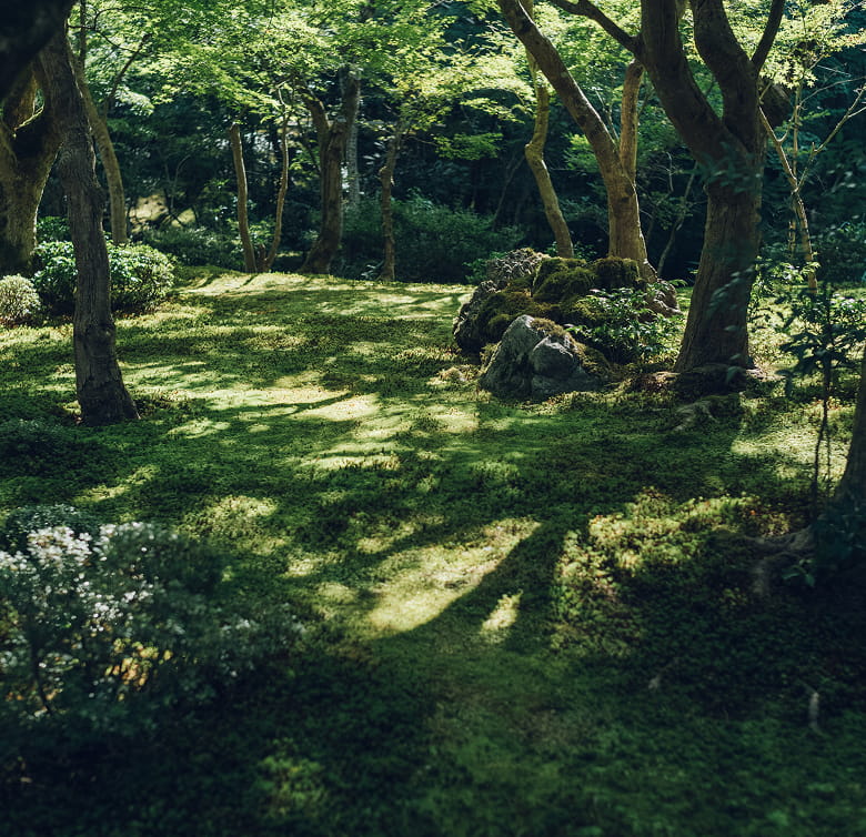 圓光寺