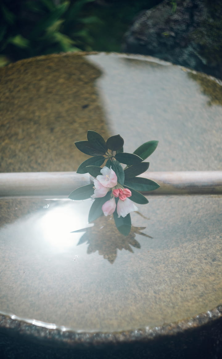 圓光寺
