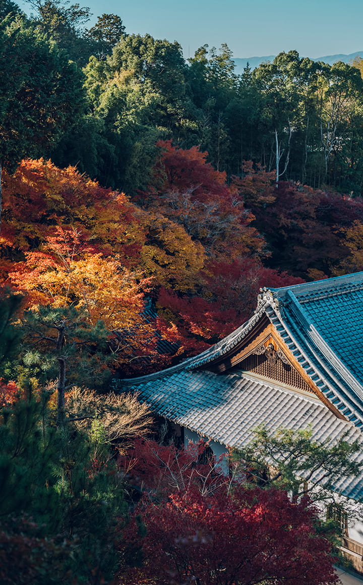 春秋