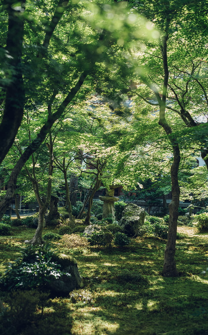 夏