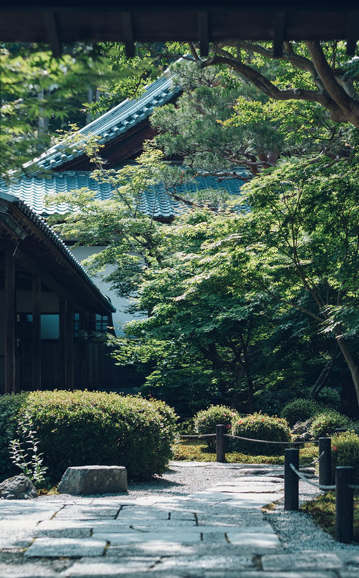 夏
