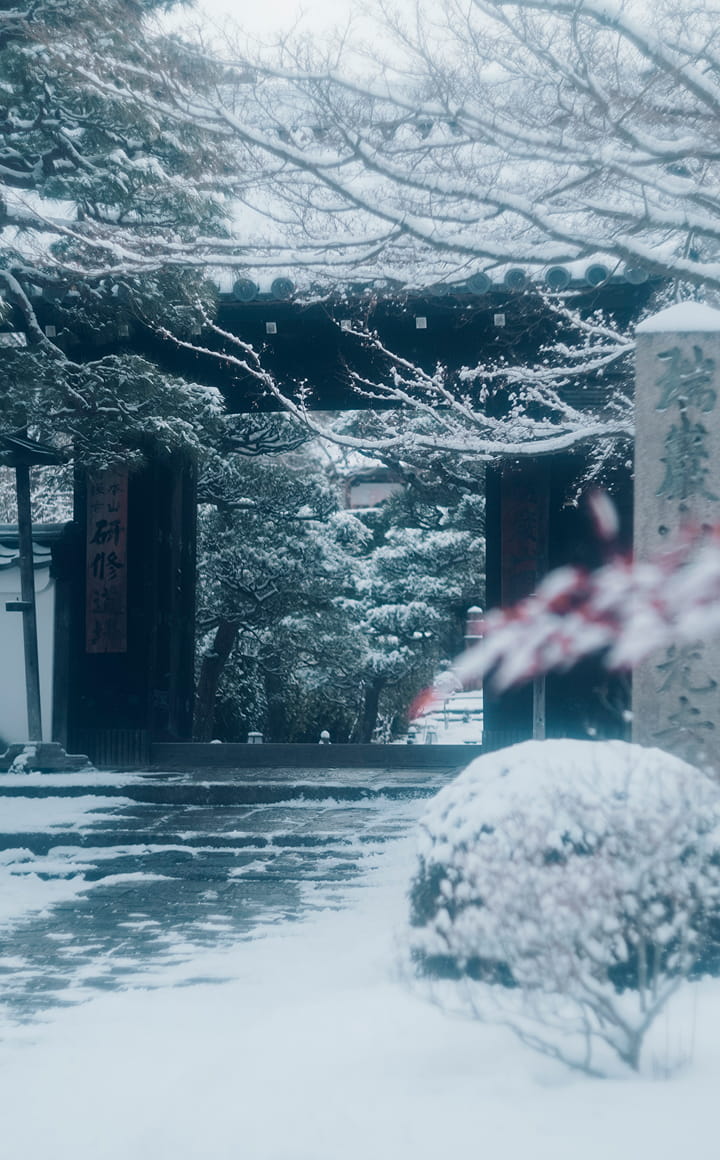 冬