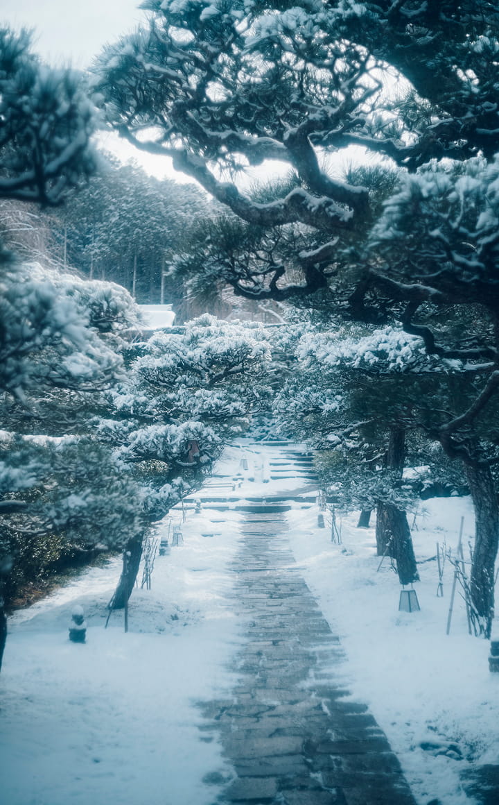 冬