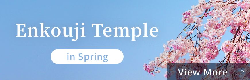 Enkouji Temple in Spring