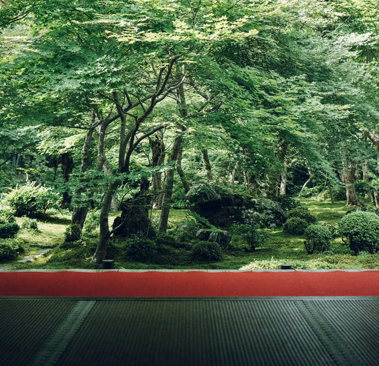 圓光寺