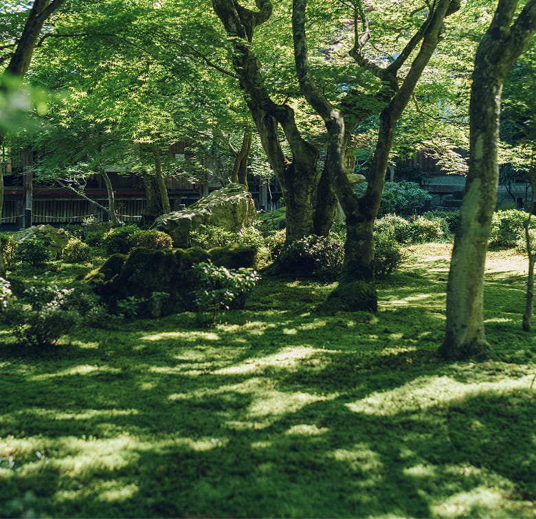 圓光寺