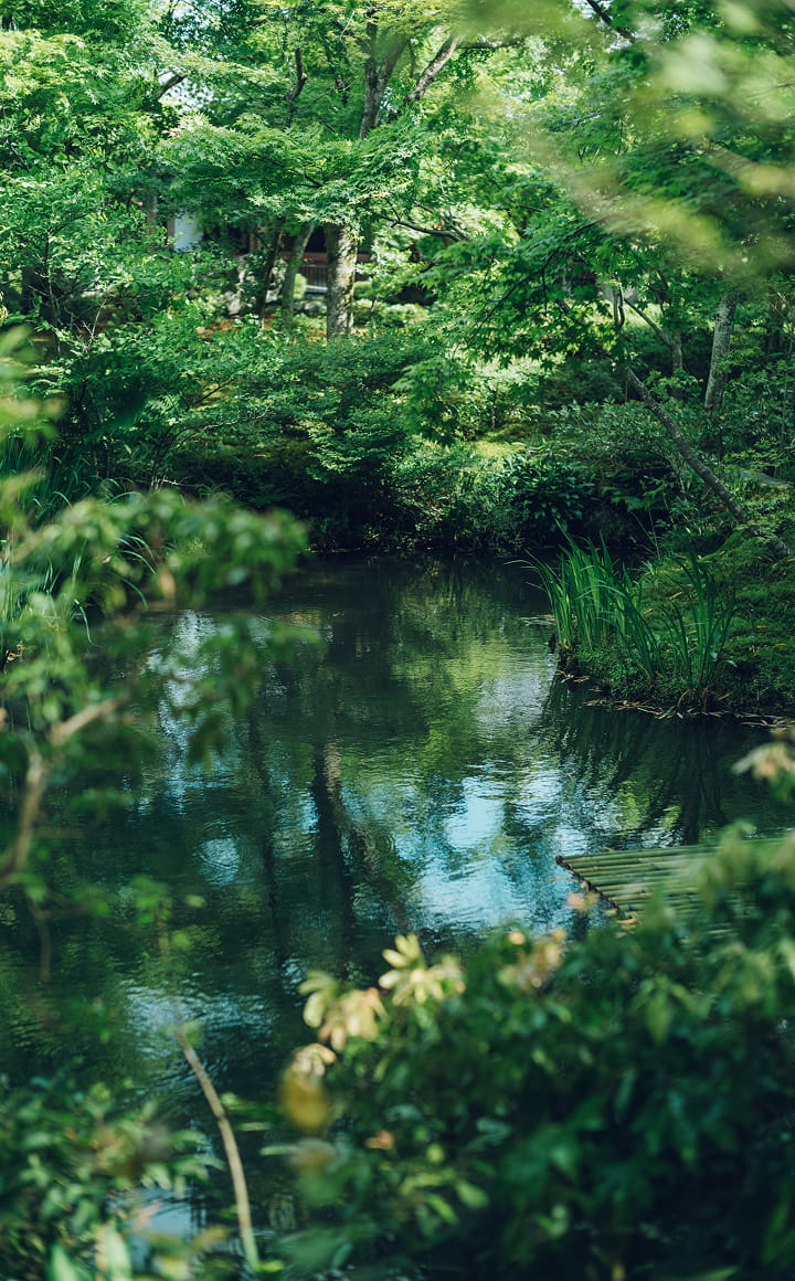 圓光寺