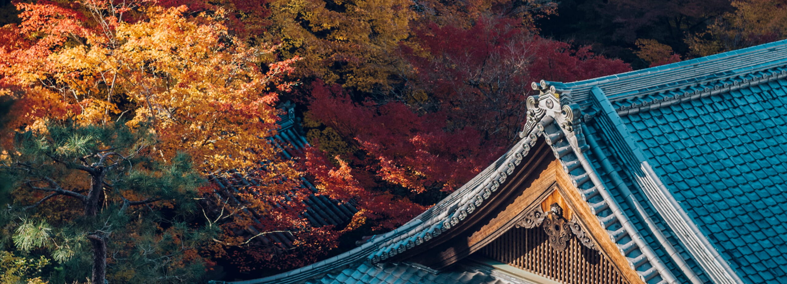 紅葉特別拝観