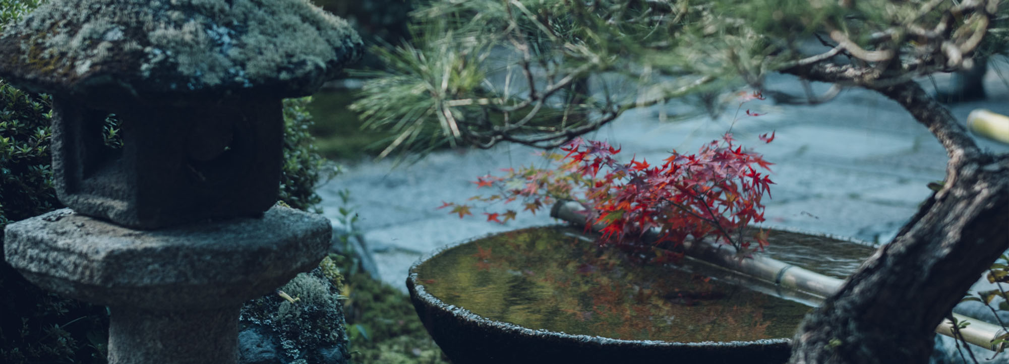 紅葉特別拝観